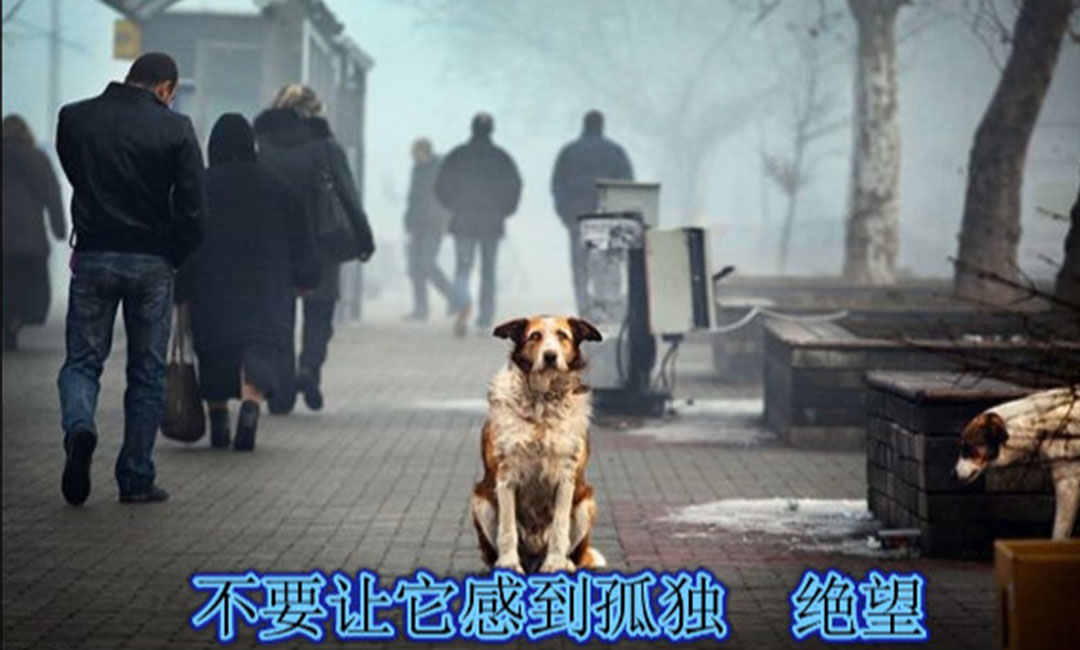 忻州爱影圈微博微信转发案例